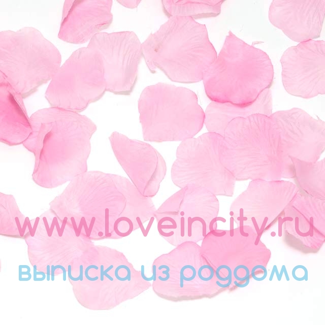 фото Искусственные лепестки роз на выписку из роддома (розовые)