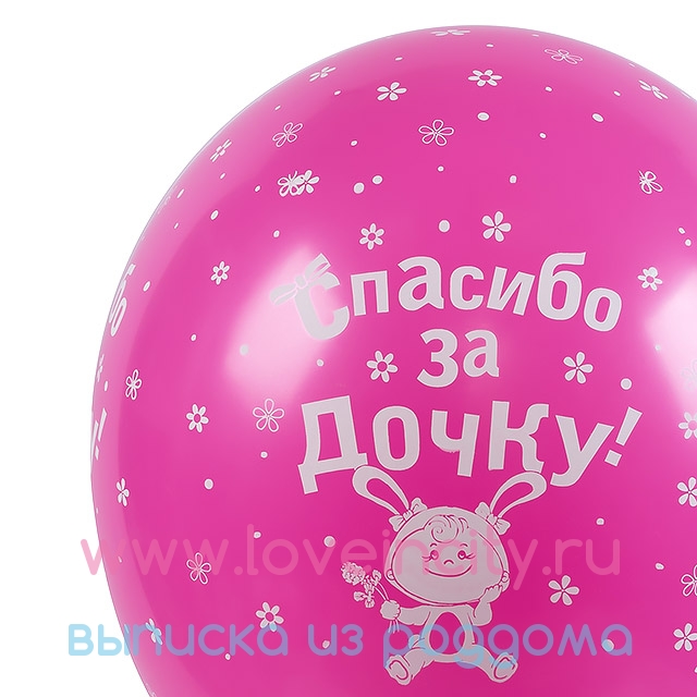 фото Нежный воздушный шарик на выписку &quot;Спасибо за дочь!&quot;